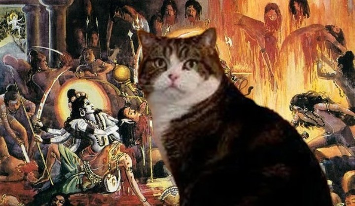 Create meme: zarathustra the cat, cat , cat 