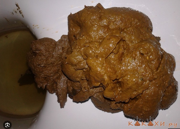 Create meme: poop, a huge turd, poop from the ass