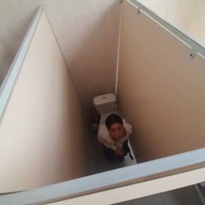 Create meme: fun, toilet