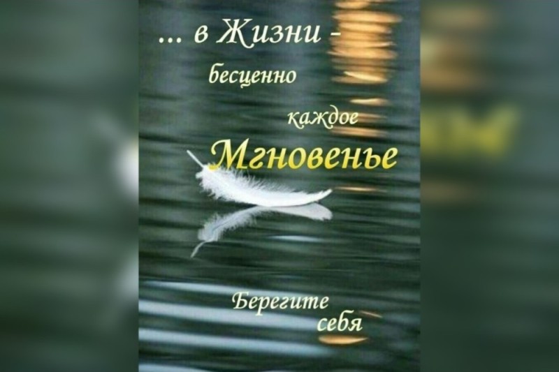 Создать мем: доброе утро мудрые цитаты, открытка, перышко на воде