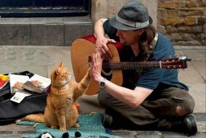 Create meme: James Bowen beggar, James Bowen, James Bowen a street cat named Bob