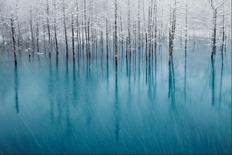 Create meme: Blue Pond, Hokkaido, Japan, Blue lake Hokkaido, Hokkaido blue pond