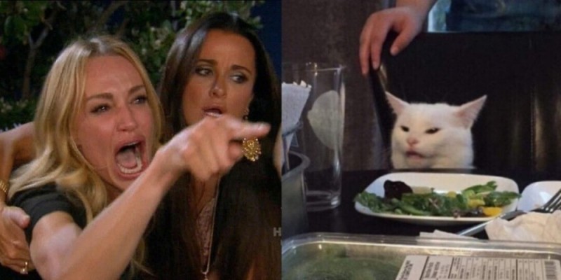 Create meme: meme woman yelling at the cat, cat woman, the meme with the cat at the table