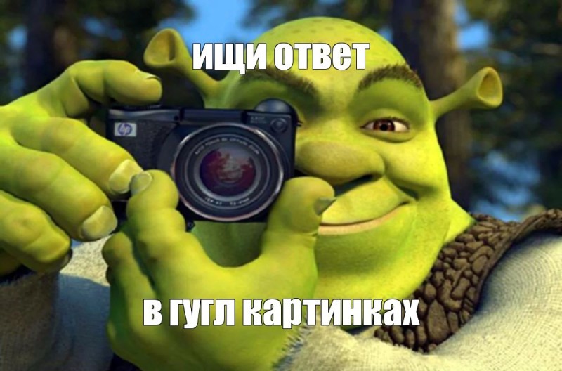 Create meme: meme Shrek , shrek memes, Shrek with camera meme