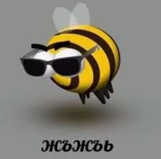 Create meme: bee