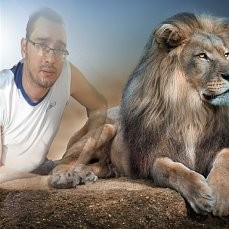 Create meme: Leo, animal, lion king