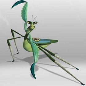 Create meme: master mantis, The mantis of kung fu panda, insect mantis