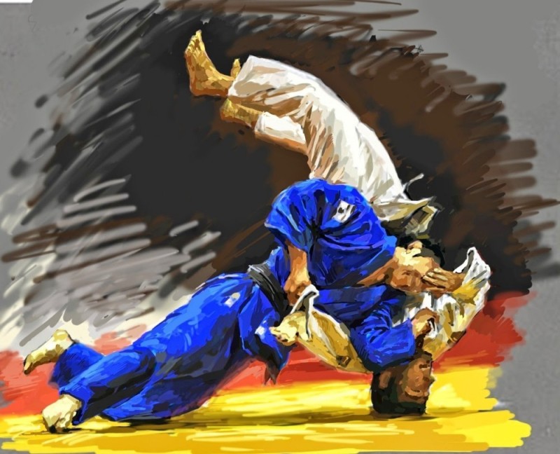 Create meme: judo , sambo judo throws, judo background