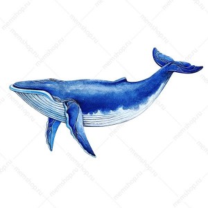 Create meme: whale watercolor, whales, blue whale