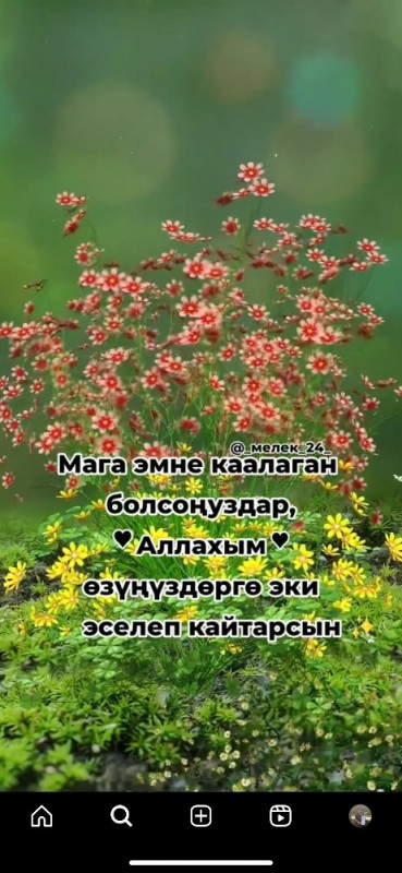 Create meme: Good afternoon, beautiful flowers field, flowers field