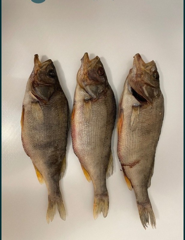 Create meme: dried river perch, dried gutted perch, dried perch