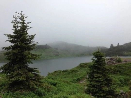 Create meme: the landscape is green, nature fog, nature beautiful places