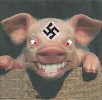 Create meme: funny pigs, the pig laughs, pig 