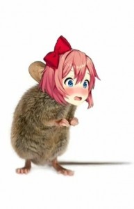 Create meme: mouse