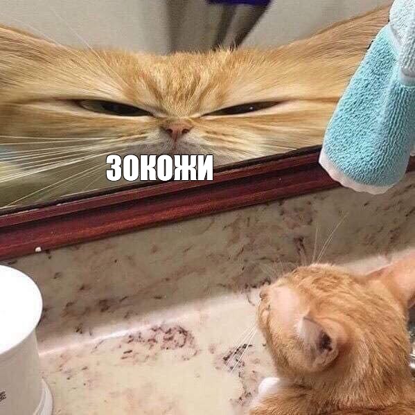 Создать мем: null