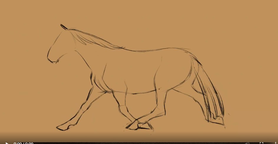 Horse Drawing Meme  TikTok