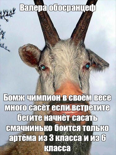 Создать мем: null