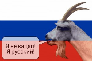 Create meme: Katsap, animals, the muzzle of a goat