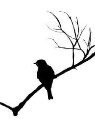 Create meme: bird on a branch