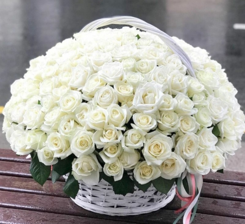 Create meme: rose white, roses in the basket, 101 white rose "avalange"