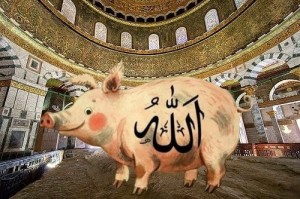 Создать мем: свинья шахид, свинья, мусульманская свинья