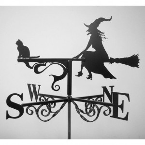 Create meme: weathervane, weathervane rooster, a weathervane on the roof