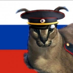 Создать мем: кот классика, кошка, шлёпа русский кот зтп