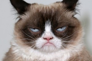 Создать мем: недовольный кот, Grumpy Cat, кот тард