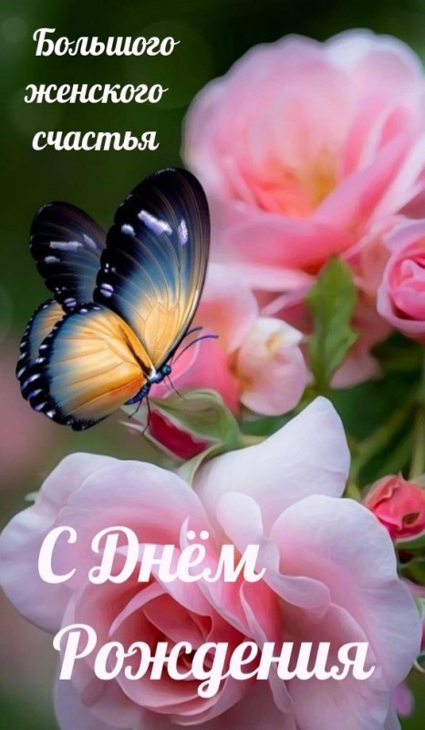 Create meme: a butterfly on a rose, butterfly flower, Happy birthday