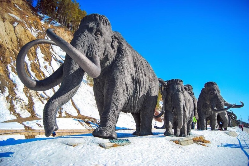 Create meme: mammoth Salekhard, sights of khanty mansiysk, mammoths in siberia