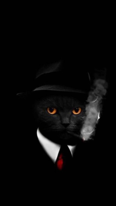 Создать мем: черный кот в шляпе, кот мафия, кот гангстер