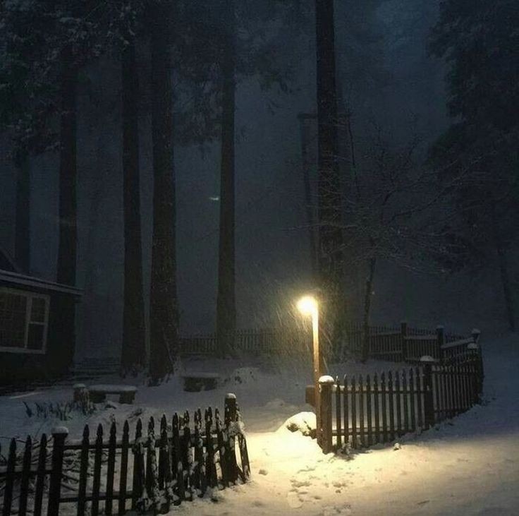 Создать мем: ночной снегопад, природа, огоньки в лесу