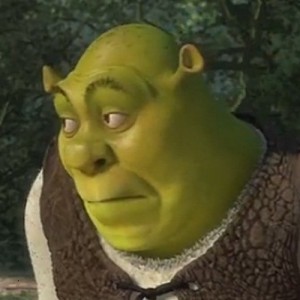 Create meme: memes en español, meme gif, Shrek meme PNG