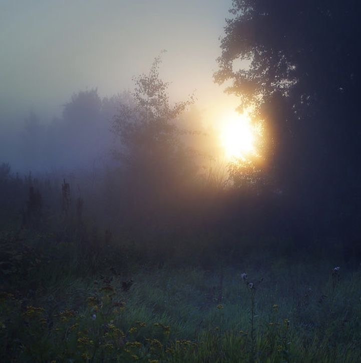 Create meme: foggy landscape, morning fog , morning mist 