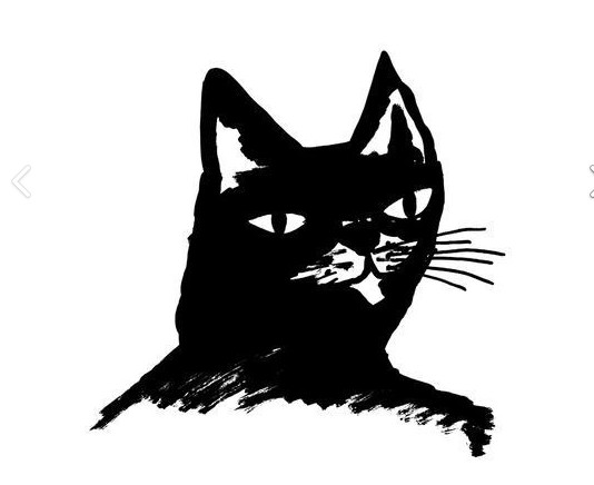 Create meme: the muzzle of a black cat, black and white cat, sticker black cat