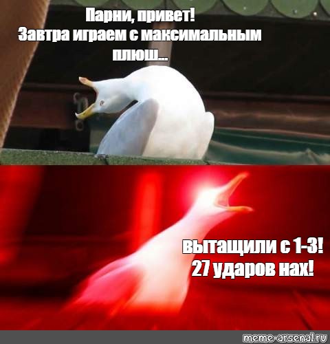 Привет завтра. Гусь Мем привет. Мужик Чайка Мем. Привет ребята Мем. Чайку Мем с мужиком.