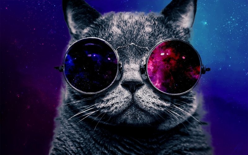 Create meme: the cat in space glasses, The cat with glasses is cool, cat with cosmos glasses