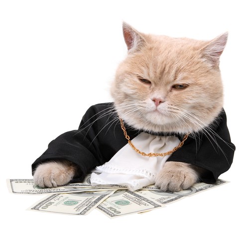 Создать мем: кот миллионер, корреспондентский счёт, кот в деловом костюме