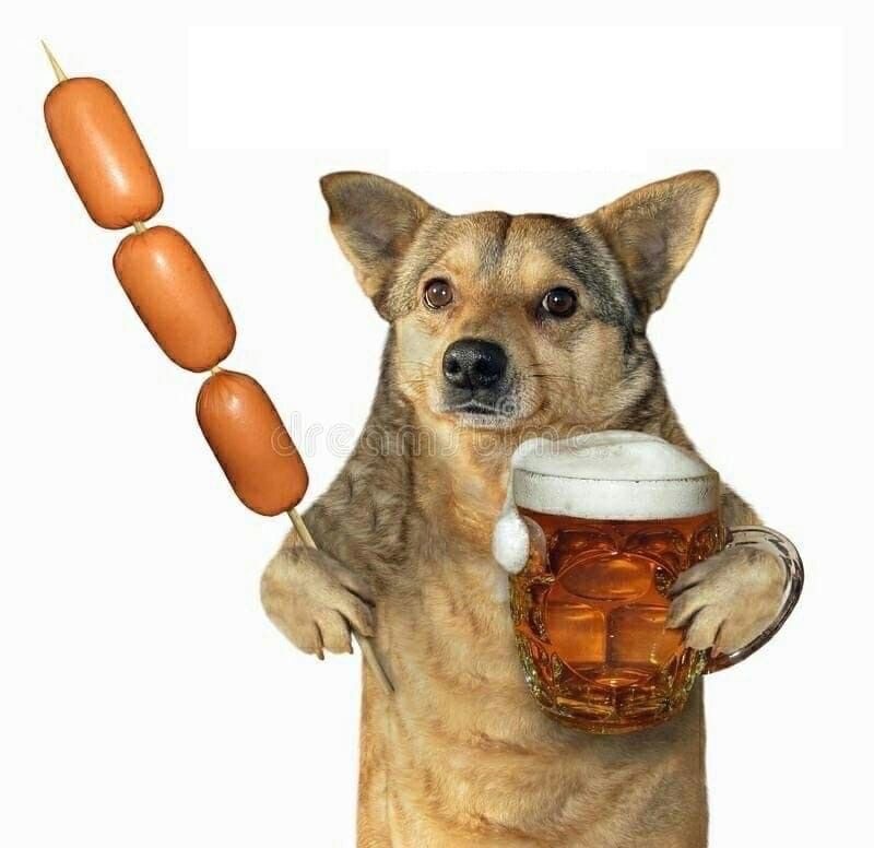 Create meme: dog with beer, dog with beer and sausages, doggie with beer