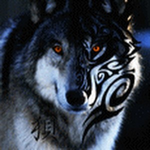 Create meme: The lone wolf, photo of a wolf on the avatar perplexity, wolf
