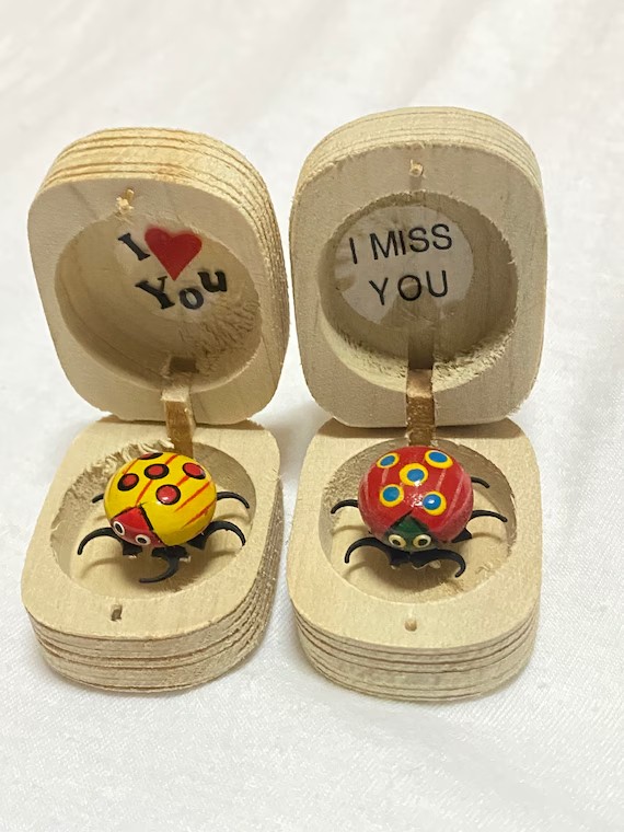 Create meme: a bug in a wooden box, a scarab beetle in a wooden box, toy bug in a wooden box