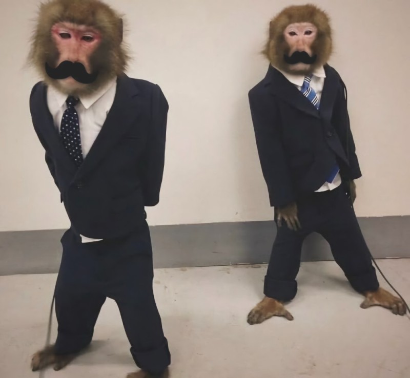 Create meme: a monkey in a suit