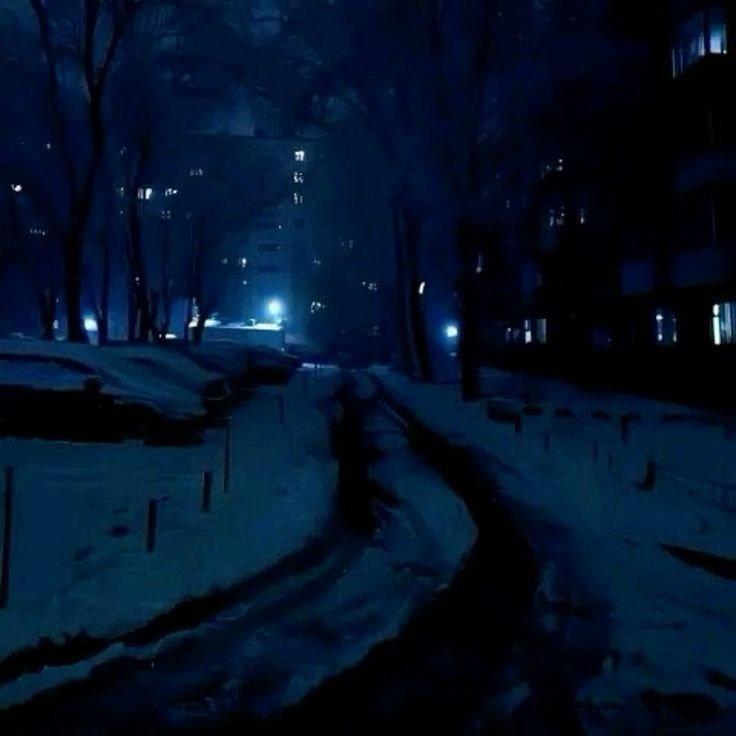 Create meme: winter park in the evening, night snow, winter yard at night