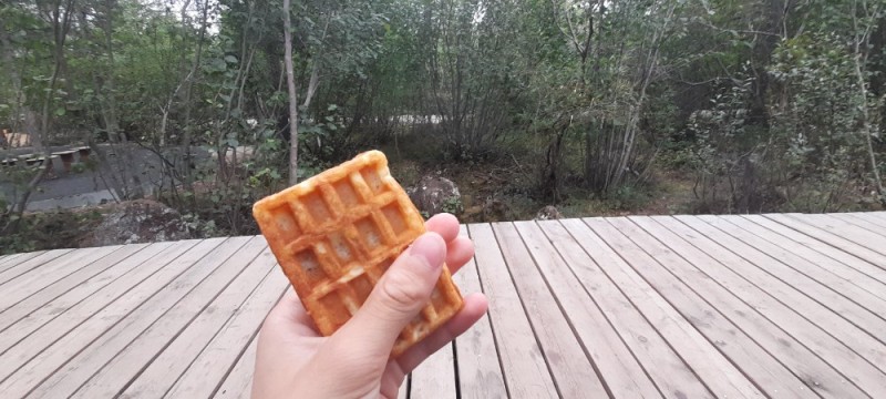 Create meme: waffles, viennese waffles, soft waffles