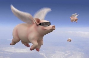 Создать мем: летающие свинки, летающая свинья, свинья летит