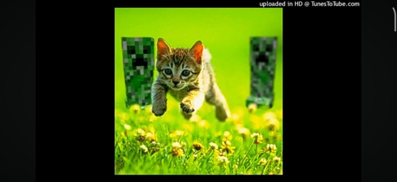 Создать мем: котики, кошка, котик на зеленом фоне