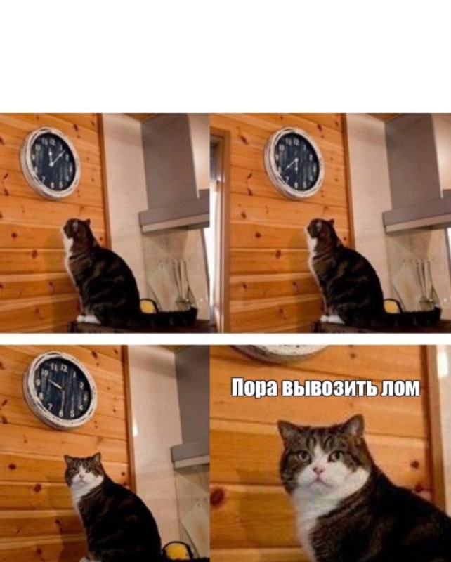 Create meme: and watch cat meme, meme the cat and the clock time, meme with a cat and a clock