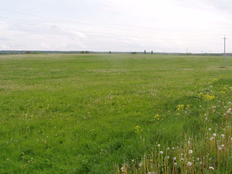 Create meme: land , plot of 8 acres, rapeseed fields in the Irkutsk region