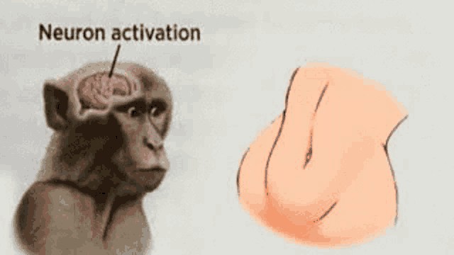 Create meme: monkey neuron activation, monkey brain, neuron activation meme