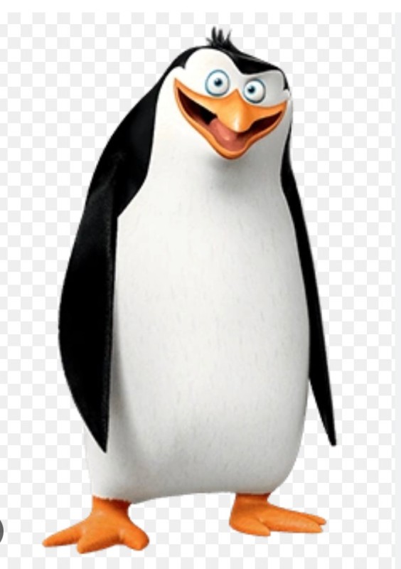 Создать мем: пингвин с бровями мадагаскар, шкипер ковальски рико, пингвины из мадагаскара рико